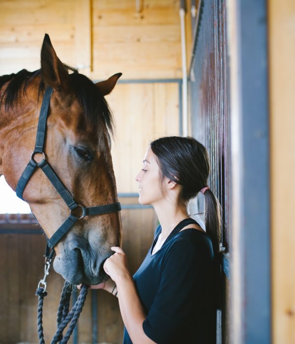 AdobeStock_166598237