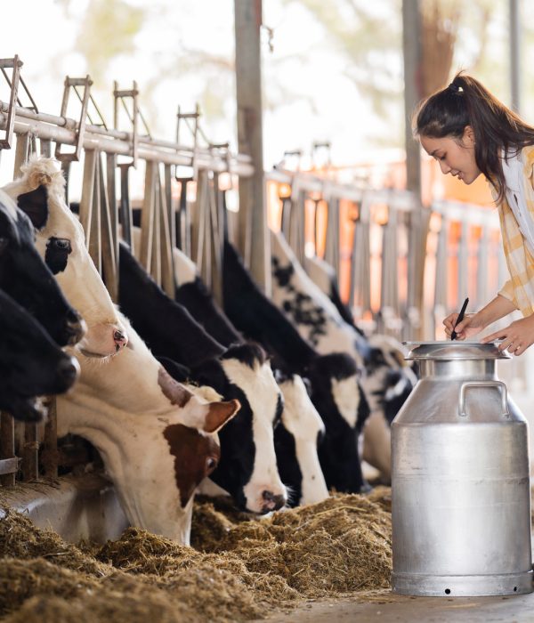 Lycée Drôme Provençale